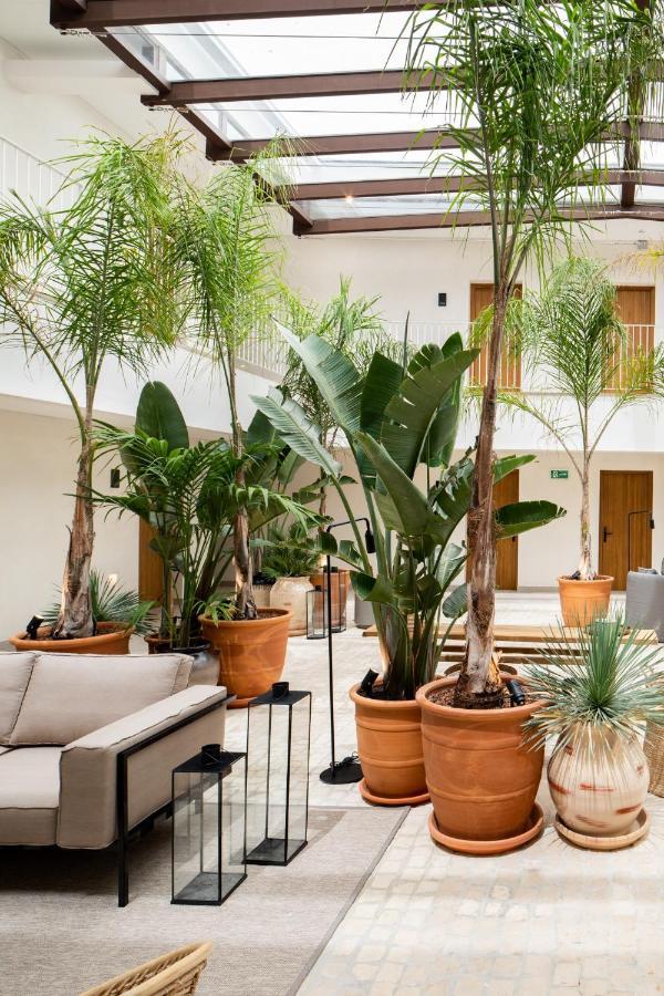 Hotel Porfirio Picota - Adults Recommended Zahara de los Atunes Ngoại thất bức ảnh
